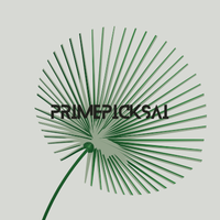 PrimePicksai